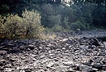 loch-awe-XVIII-7-s.jpg - 7786 Bytes